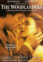  В краю лесов смотреть онлайн (1997) 